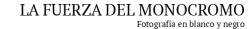 LA FUERZA DEL MONOCROMO - Fotografía en blanco y negro